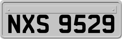 NXS9529