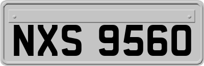 NXS9560