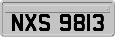 NXS9813