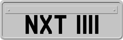 NXT1111