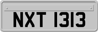NXT1313