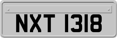 NXT1318