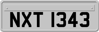 NXT1343