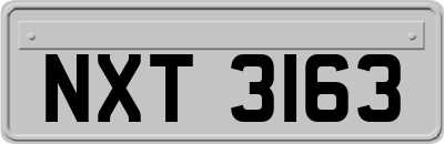 NXT3163