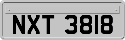 NXT3818