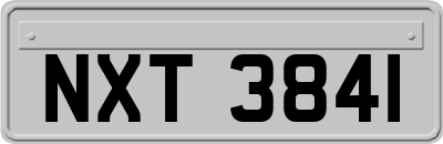 NXT3841