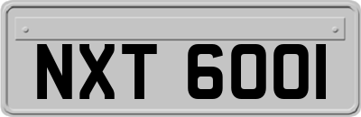 NXT6001