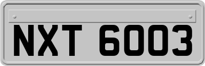 NXT6003