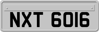 NXT6016