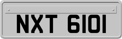 NXT6101