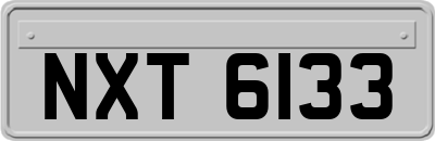 NXT6133