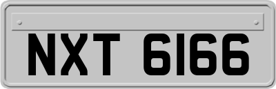 NXT6166