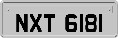 NXT6181