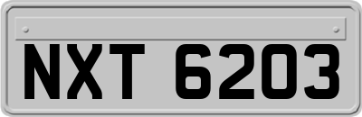 NXT6203