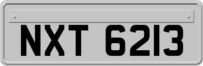 NXT6213