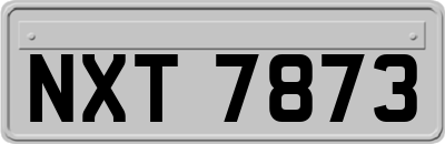 NXT7873