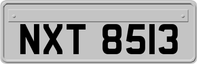 NXT8513