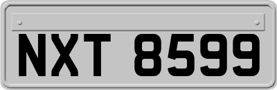 NXT8599