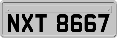 NXT8667