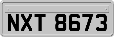 NXT8673