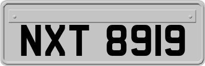 NXT8919