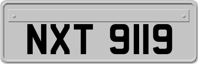 NXT9119