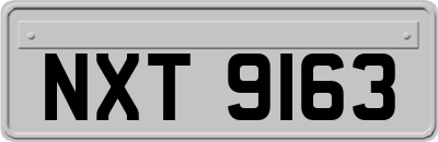 NXT9163