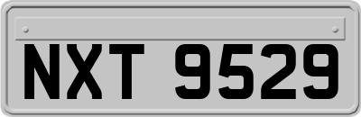 NXT9529