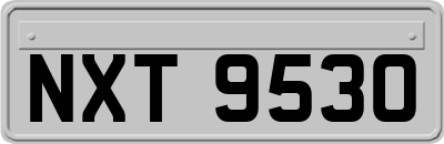 NXT9530