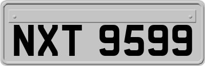 NXT9599