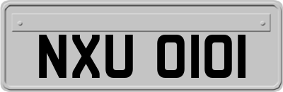 NXU0101