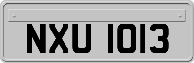 NXU1013