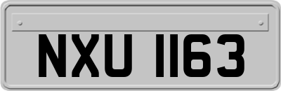 NXU1163