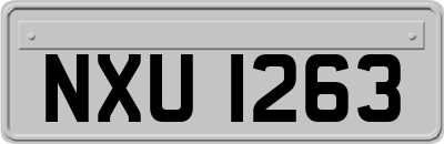 NXU1263