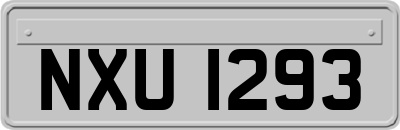 NXU1293