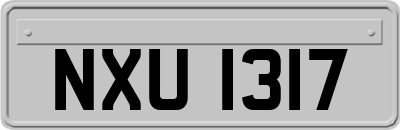 NXU1317