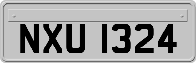 NXU1324