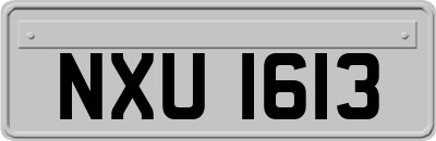 NXU1613