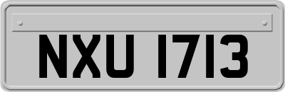 NXU1713