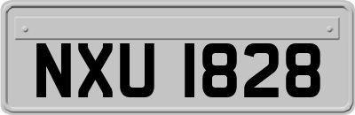 NXU1828