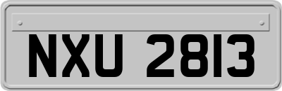 NXU2813