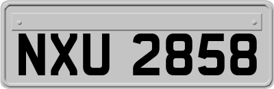 NXU2858