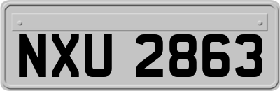 NXU2863