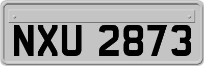 NXU2873