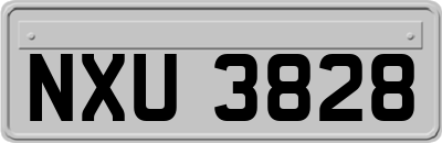 NXU3828