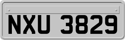 NXU3829
