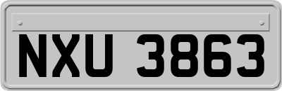 NXU3863