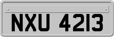 NXU4213