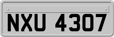 NXU4307