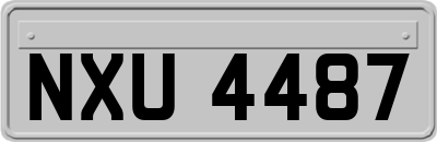 NXU4487